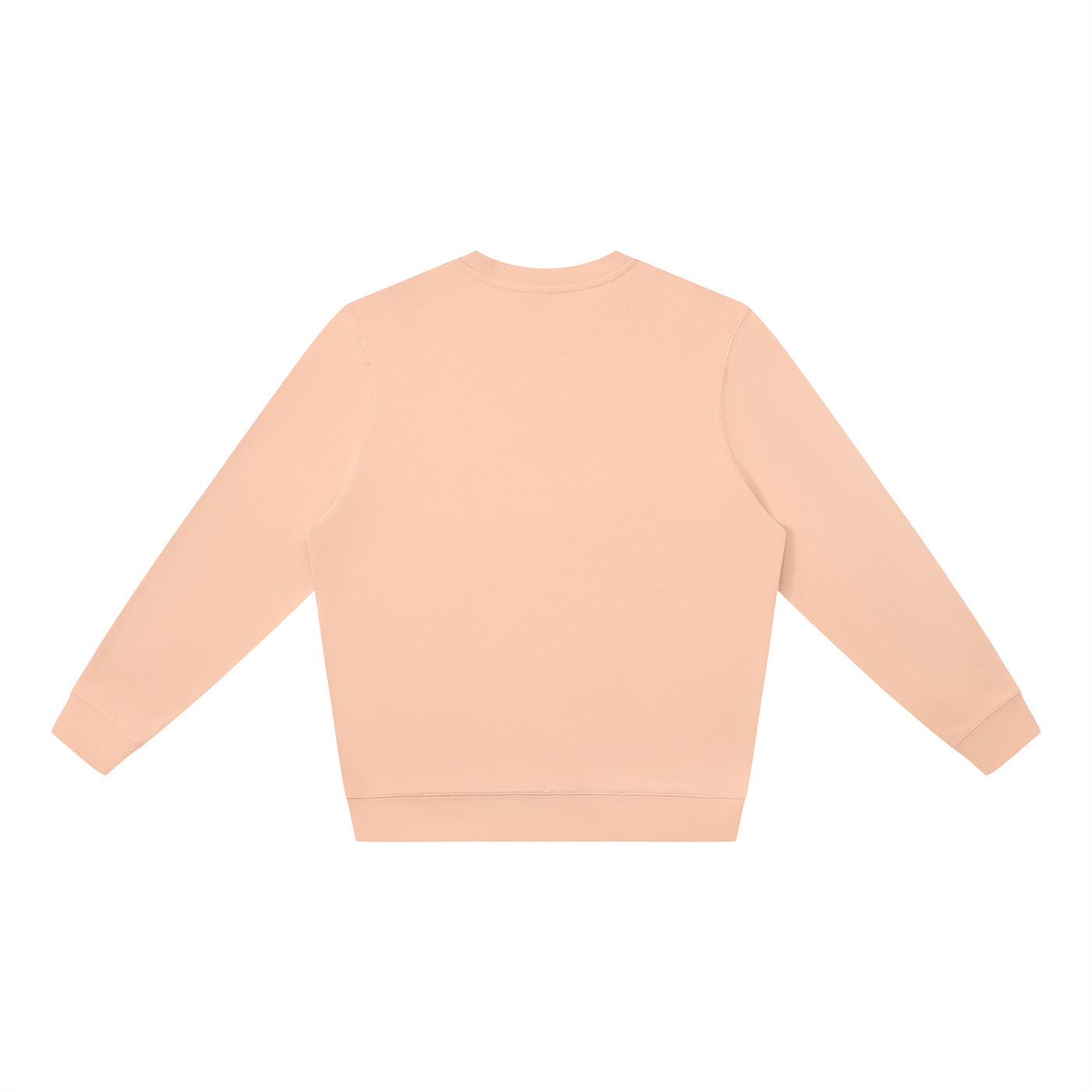 Unisex Oversized Crewneck Sweatshirt — SFO Plane Spotting Print