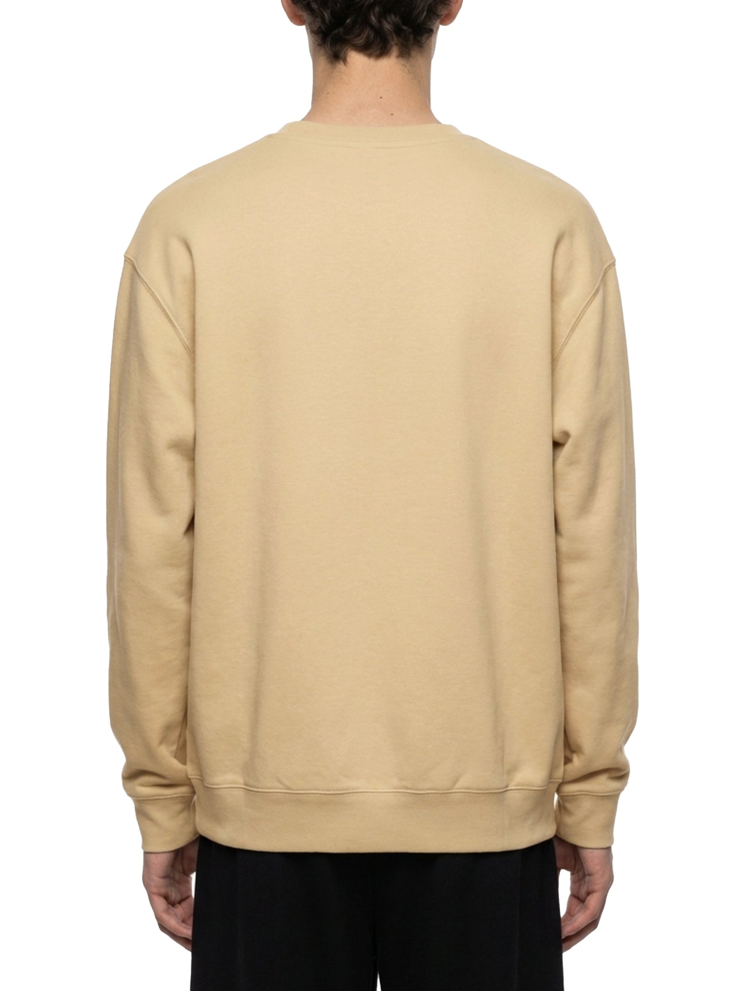 Unisex Oversized Crewneck Sweatshirt — SFO Plane Spotting Print